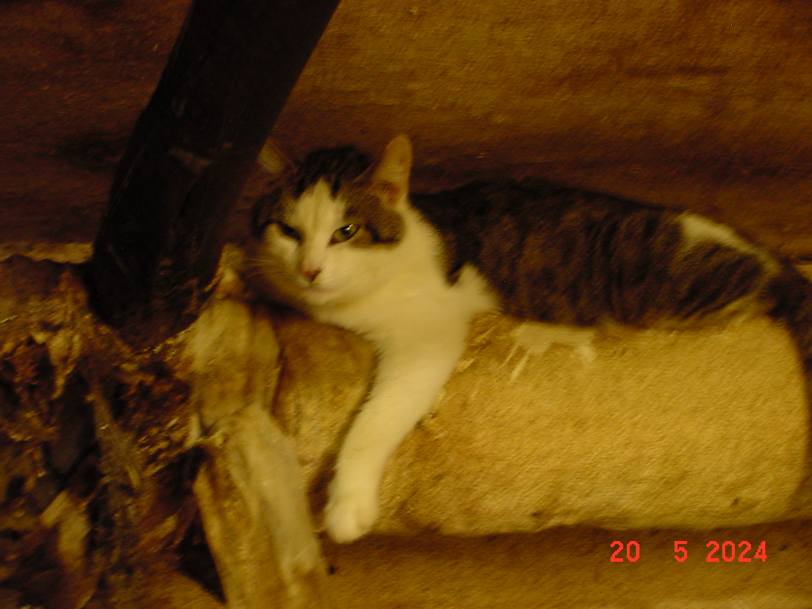 DSC00085.JPG