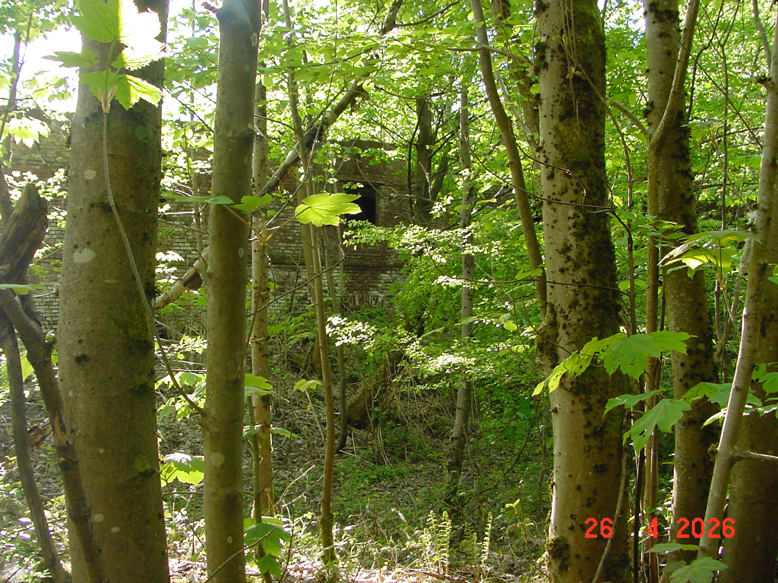 DSC00145.JPG