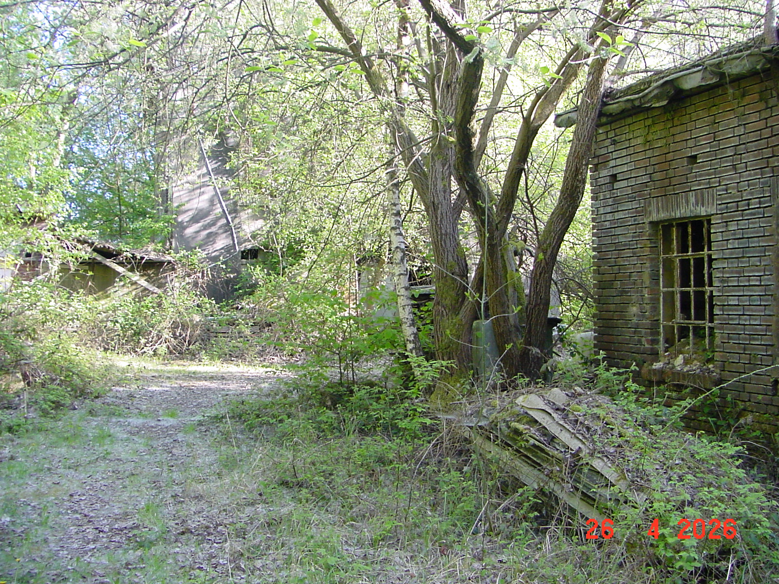 DSC00151.JPG