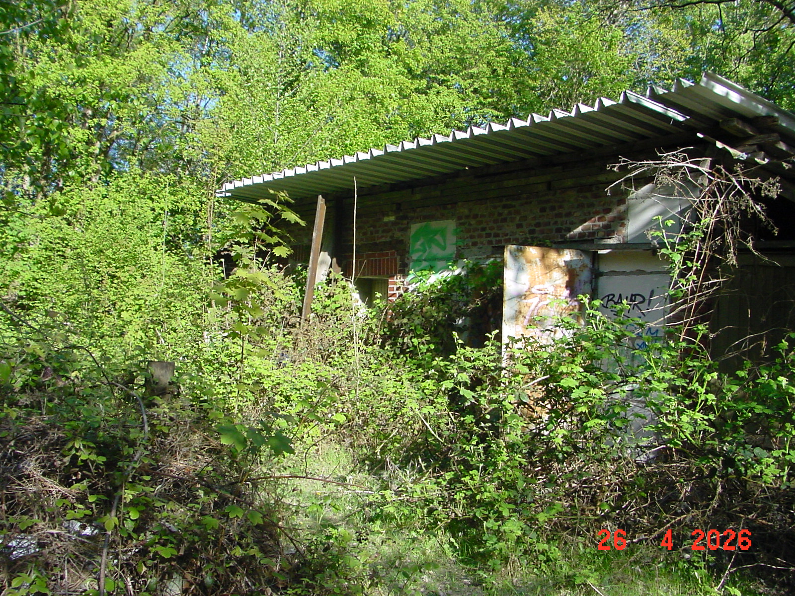 DSC00152.JPG
