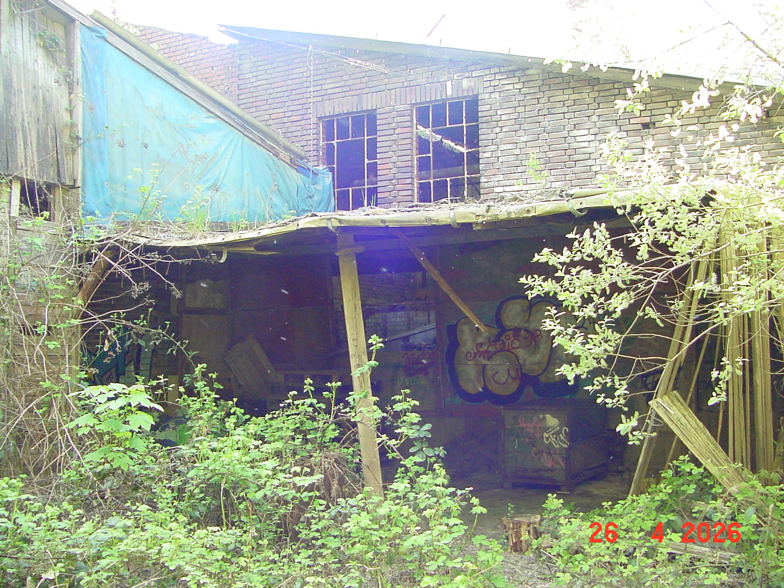 DSC00154.JPG