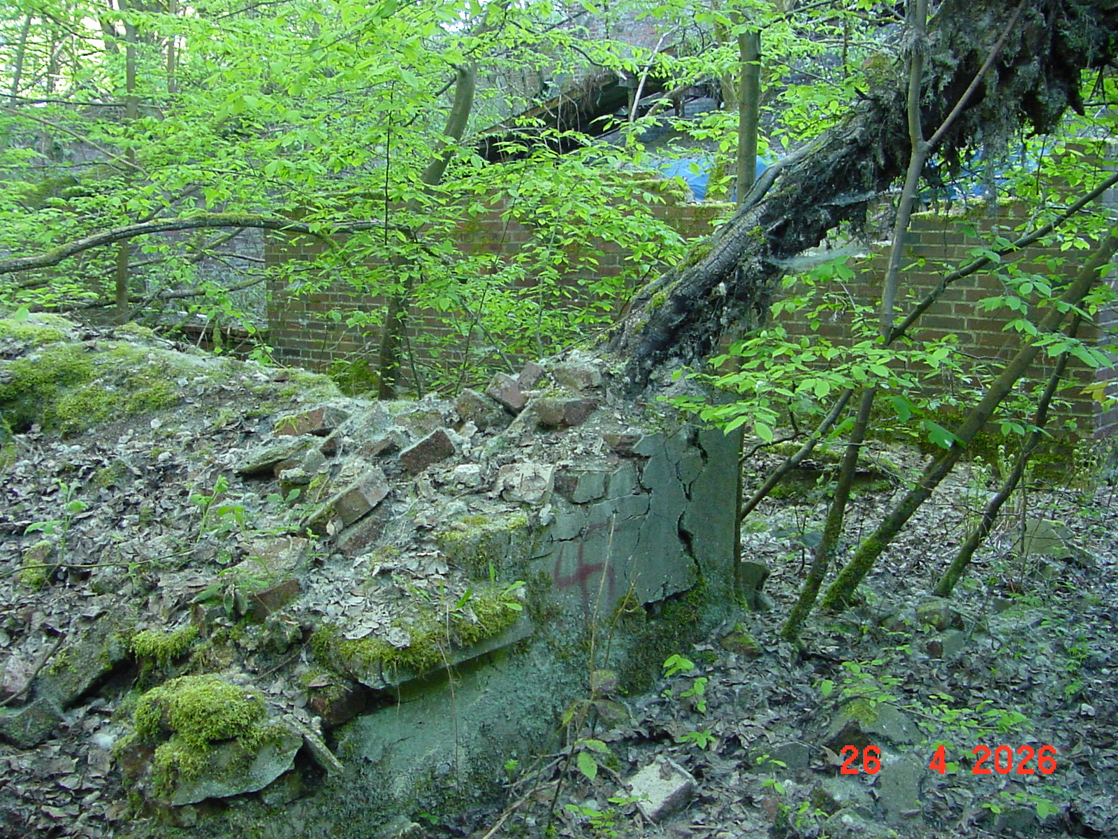 DSC00162.JPG