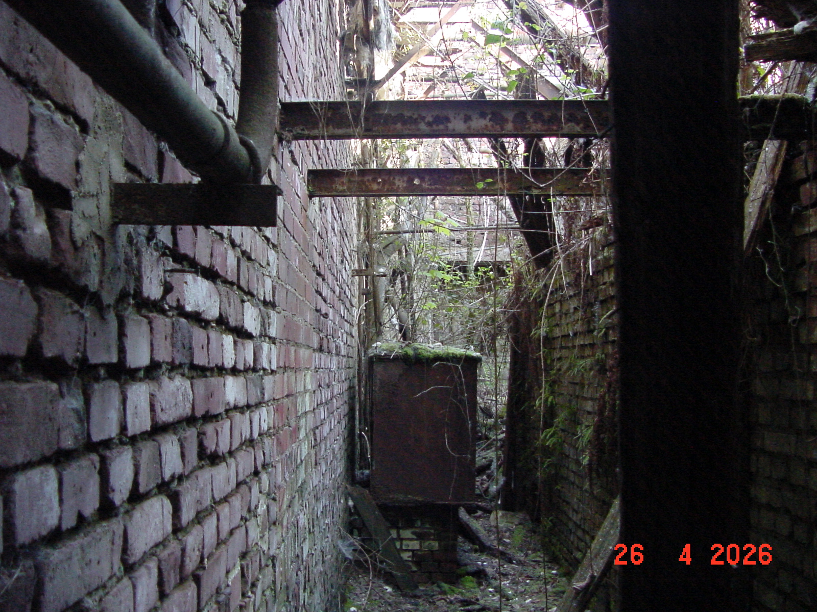 DSC00175.JPG