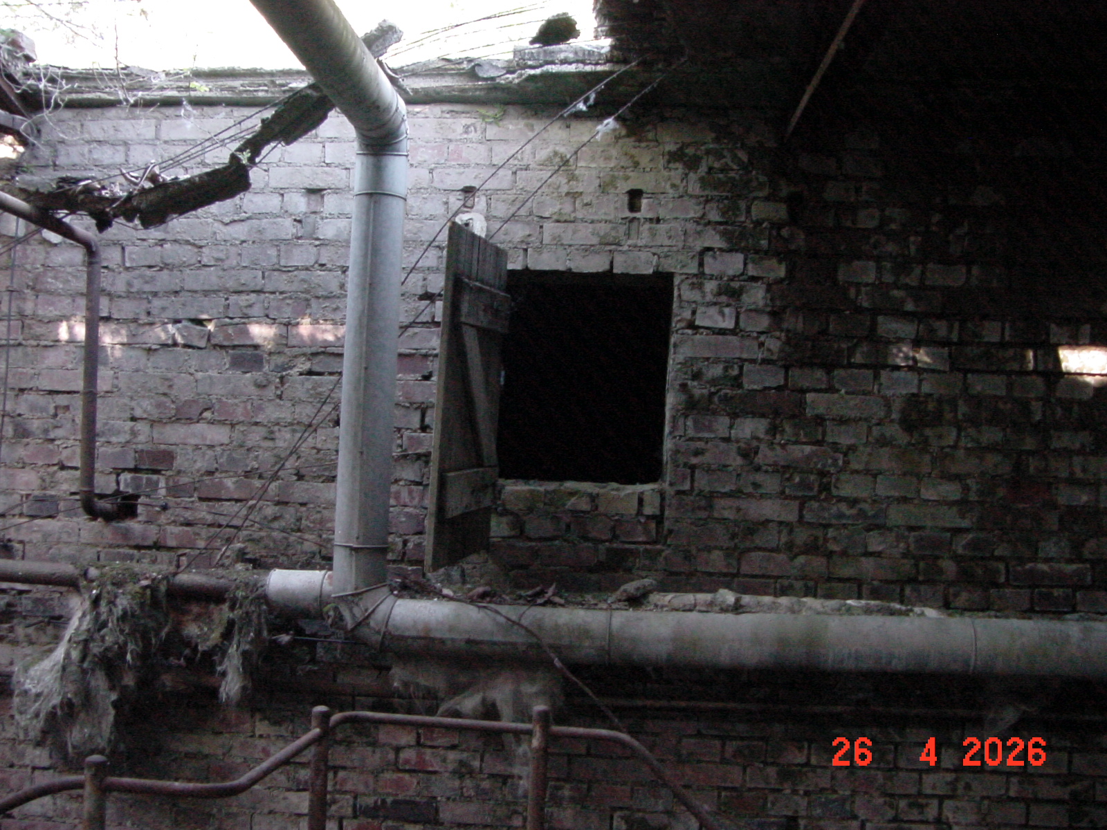 DSC00178.JPG