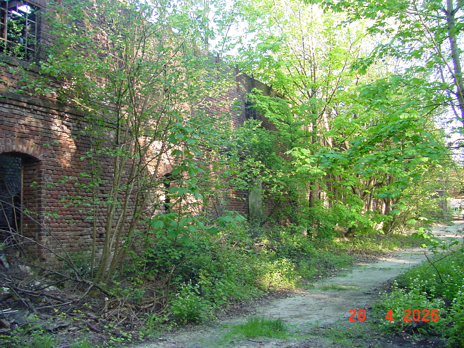 DSC00214.JPG