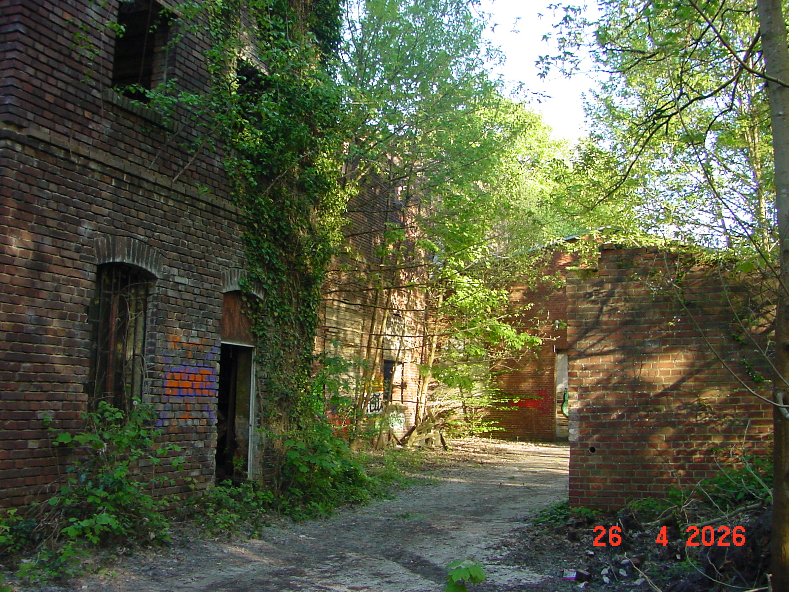 DSC00224.JPG