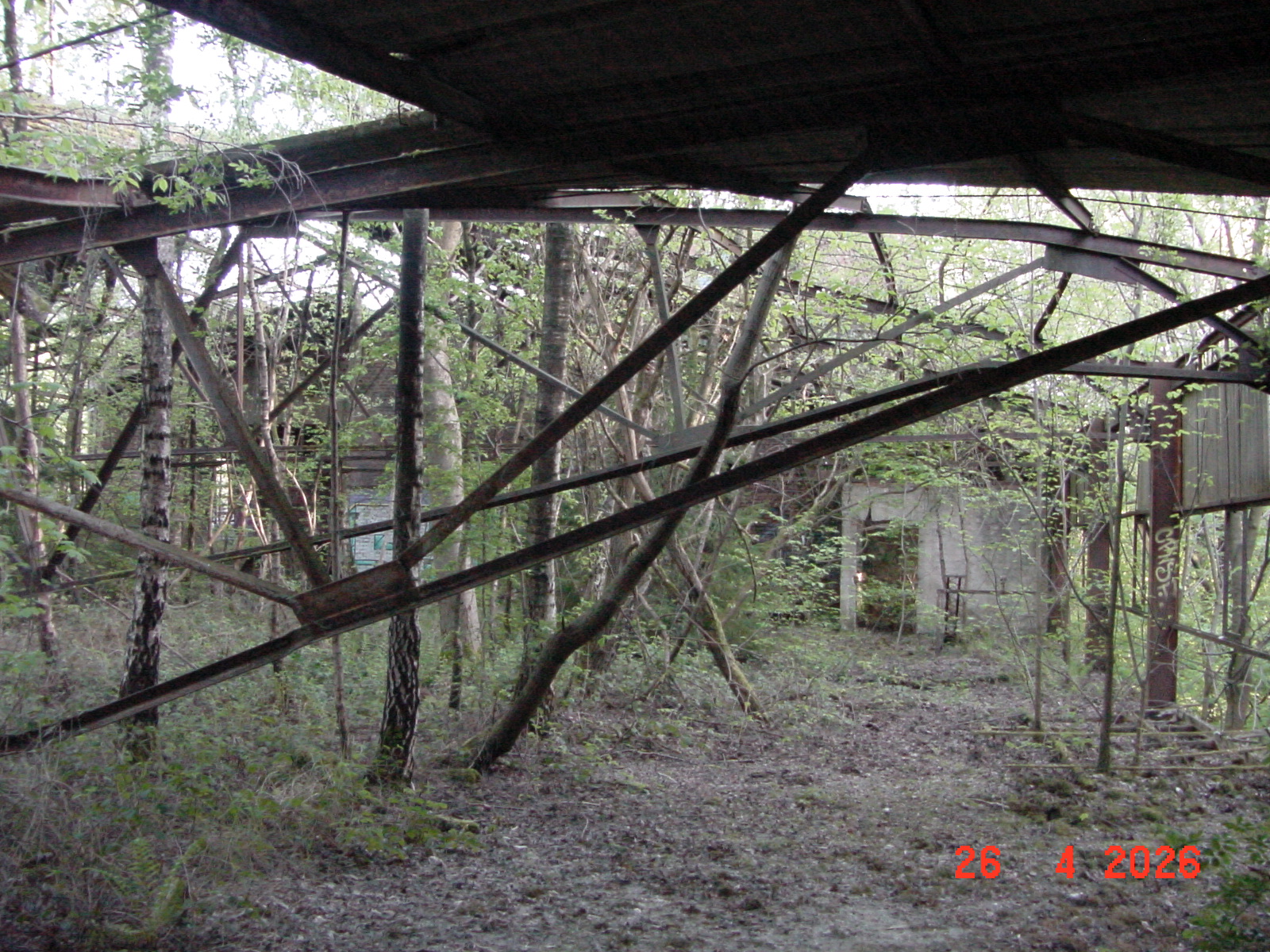 DSC00228.JPG