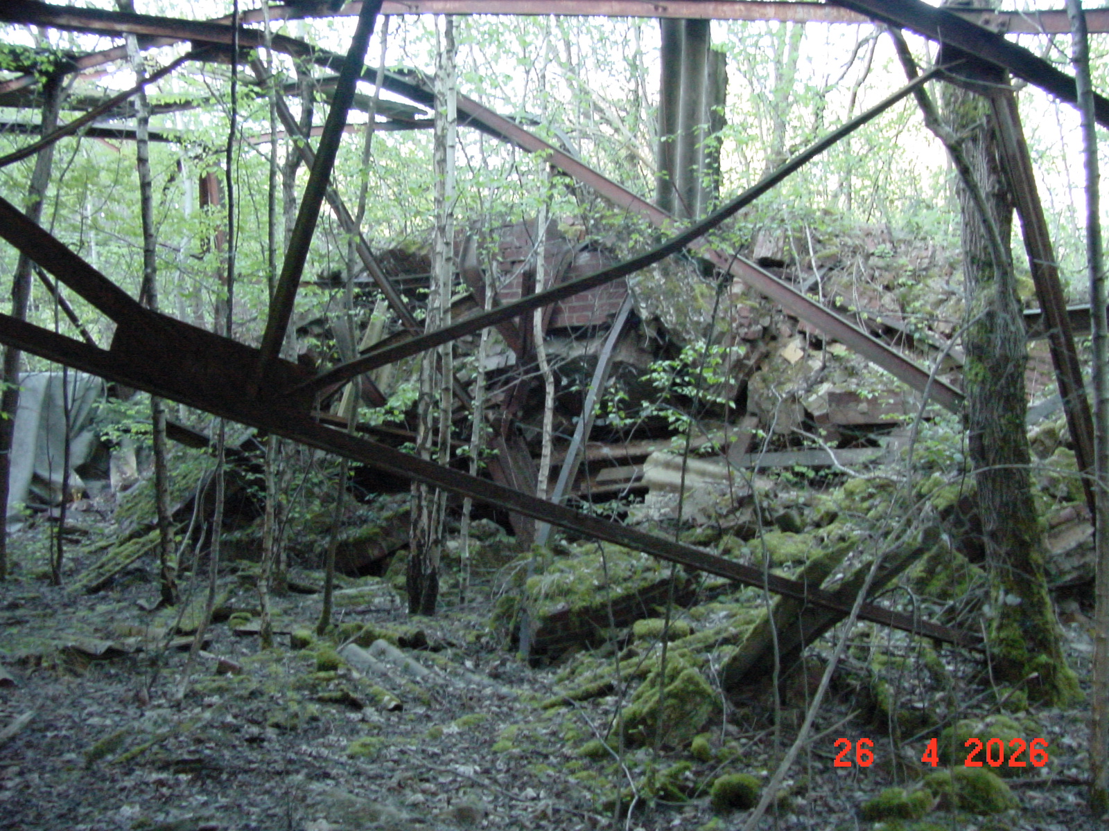 DSC00246.JPG