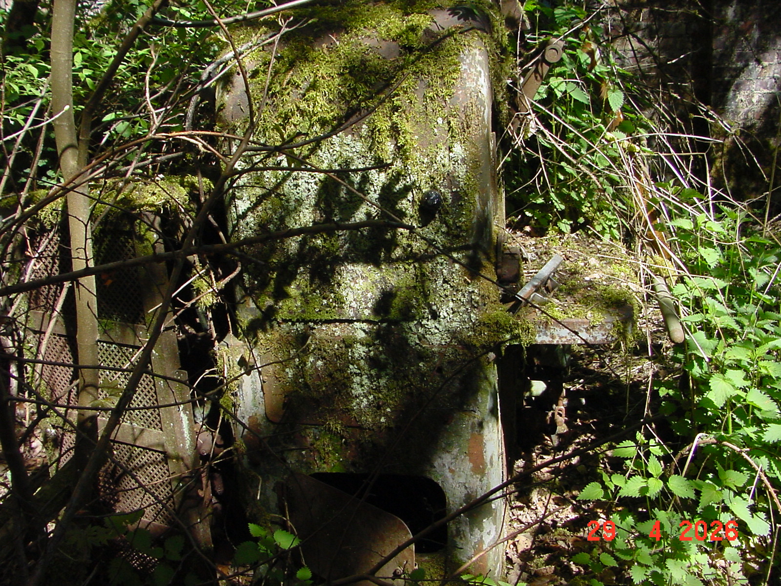 DSC00254.JPG