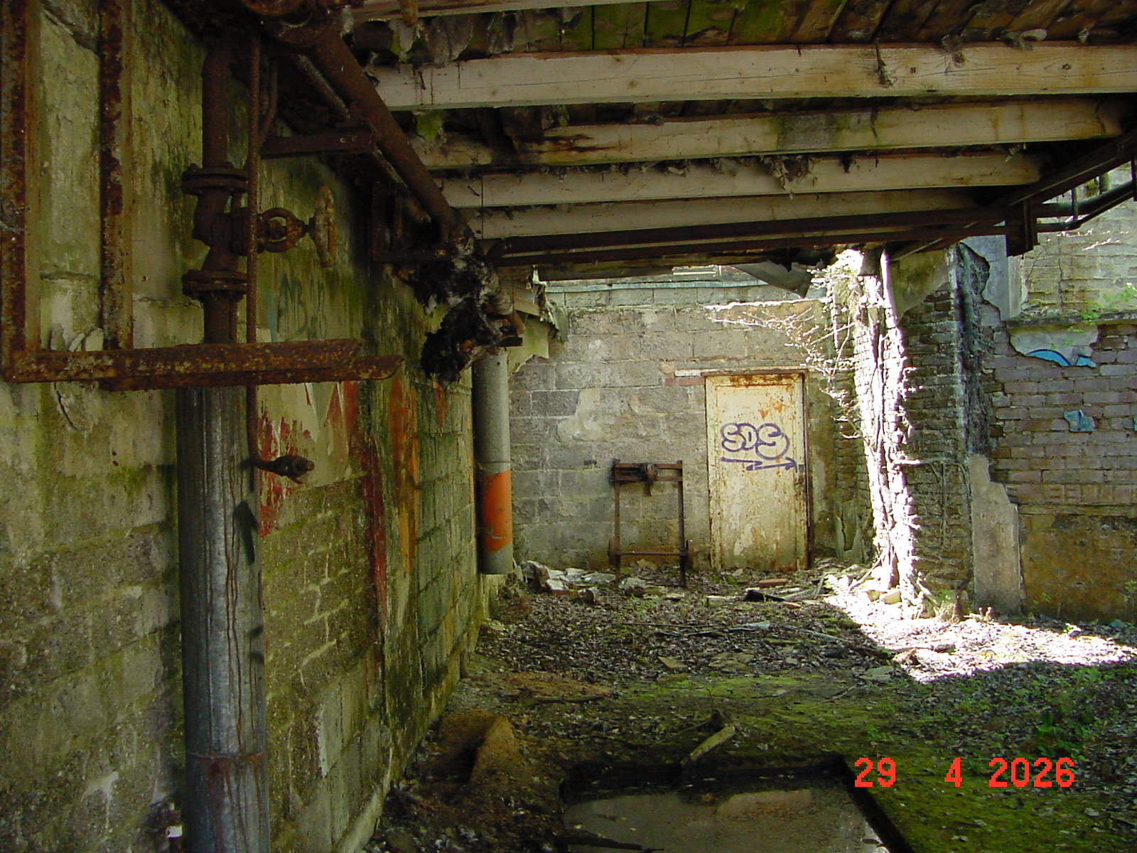 DSC00260.JPG