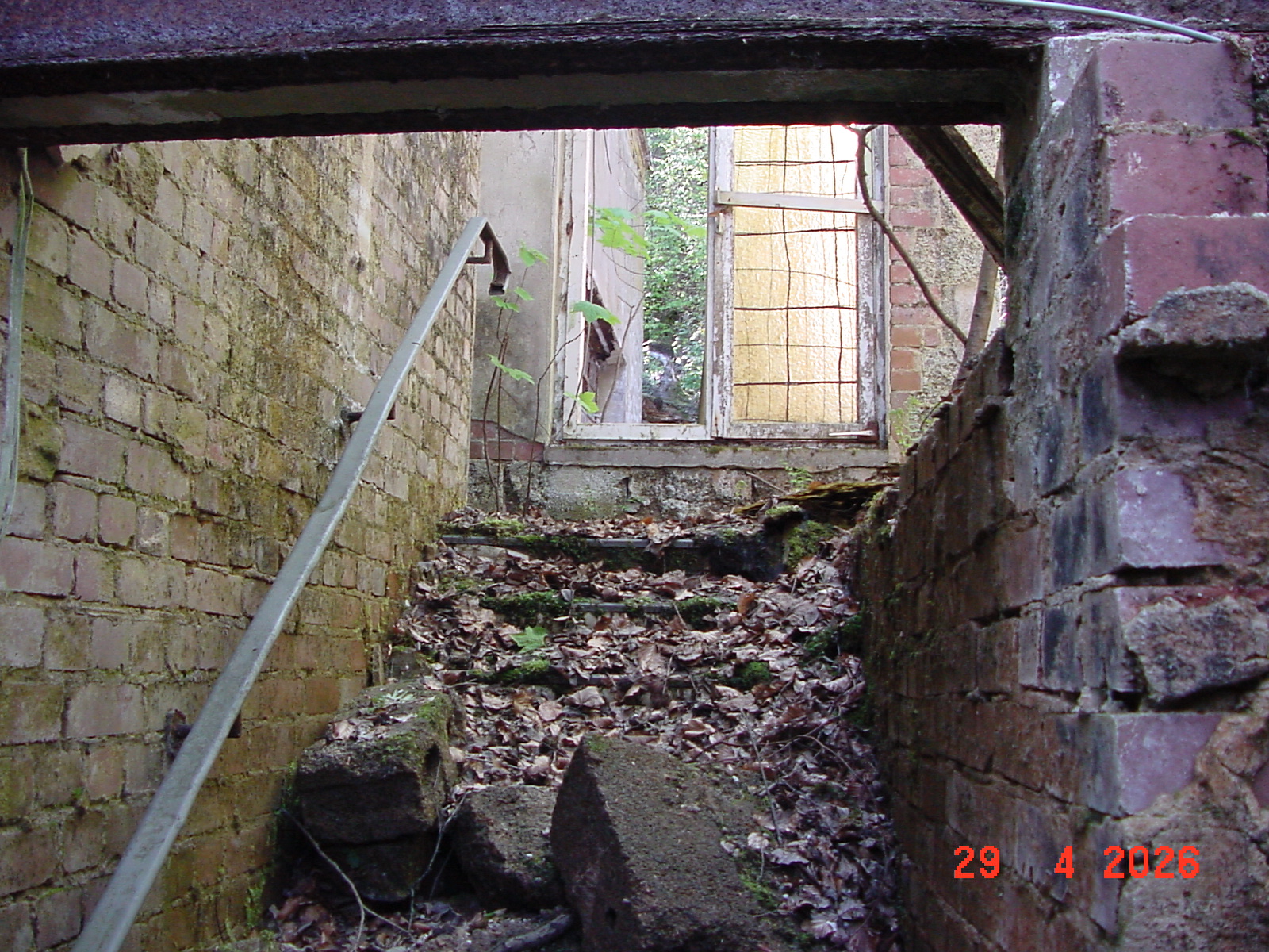DSC00263.JPG