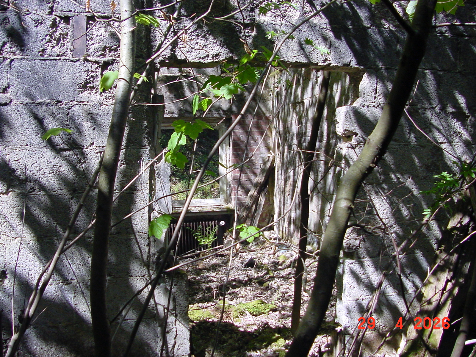 DSC00265.JPG
