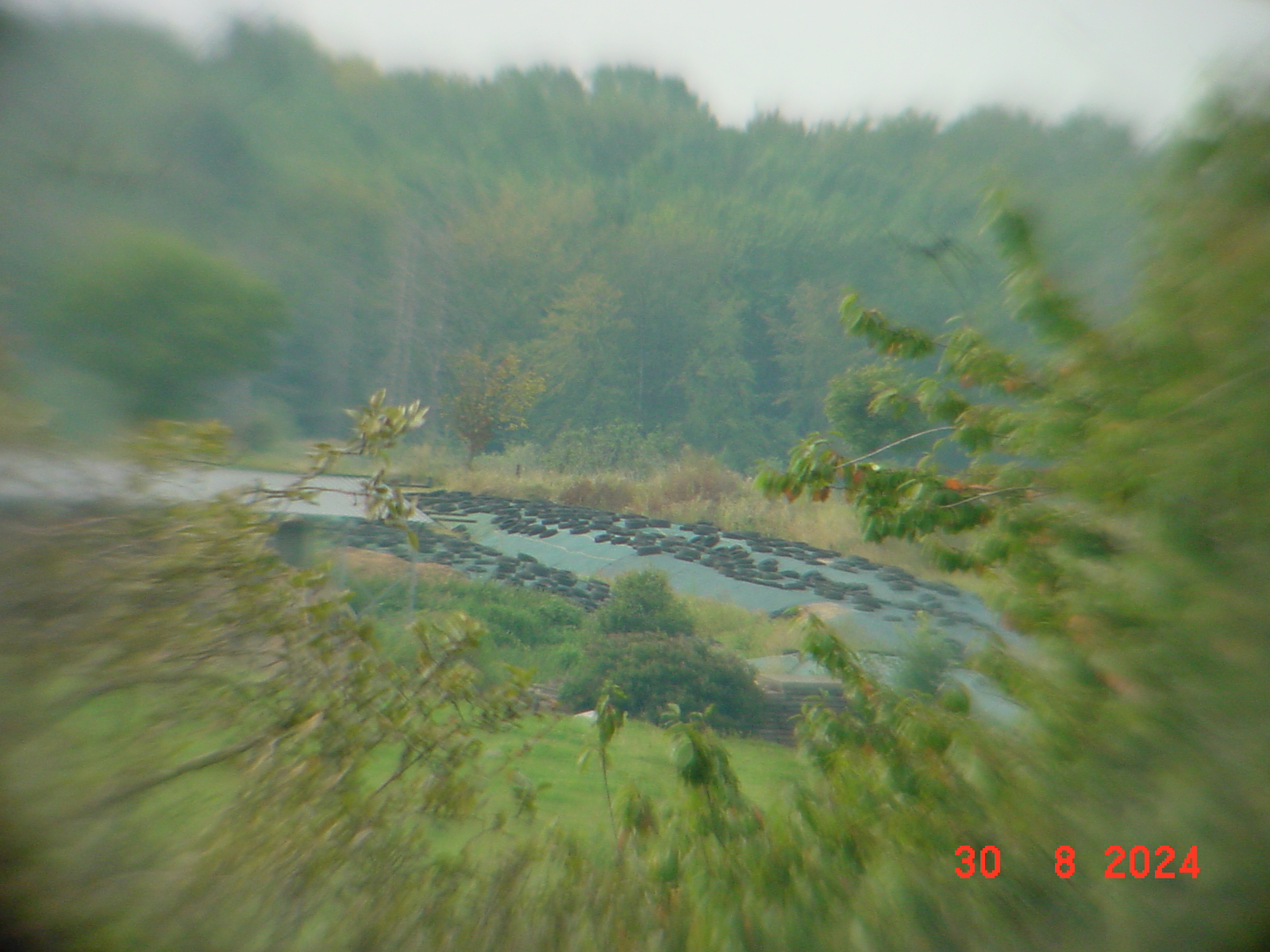 DSC00157.JPG