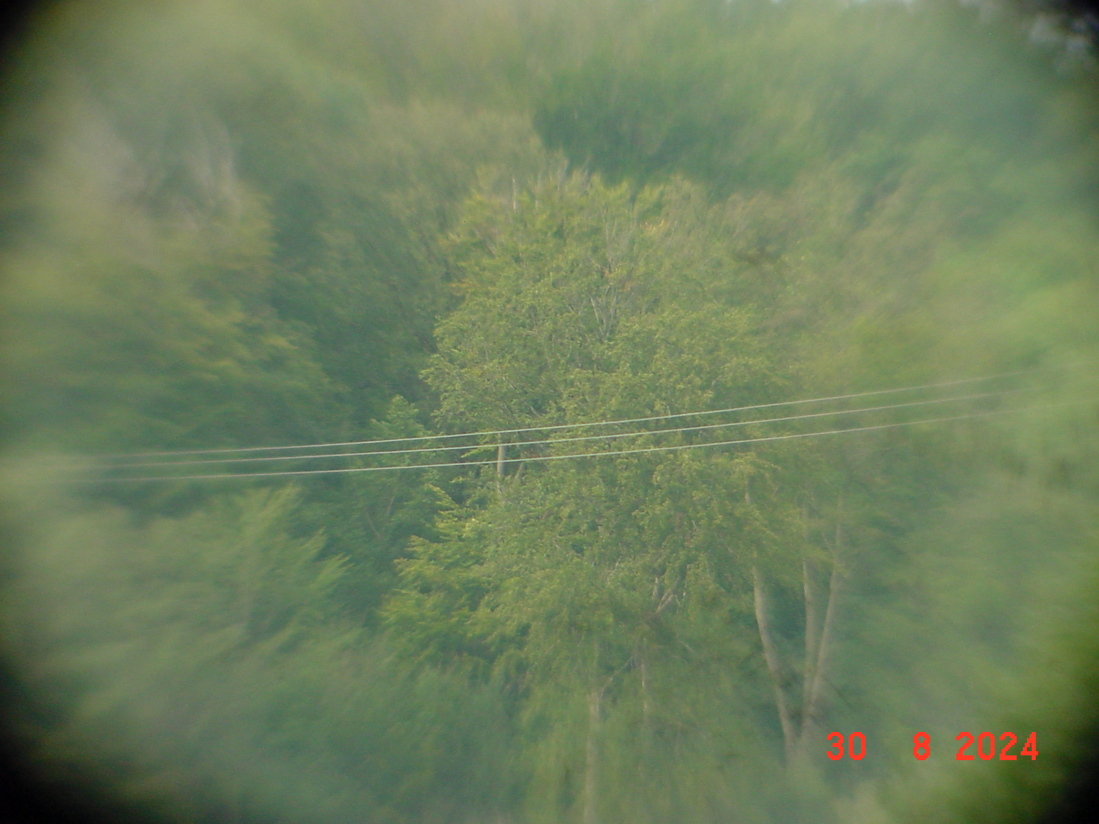 DSC00158.JPG