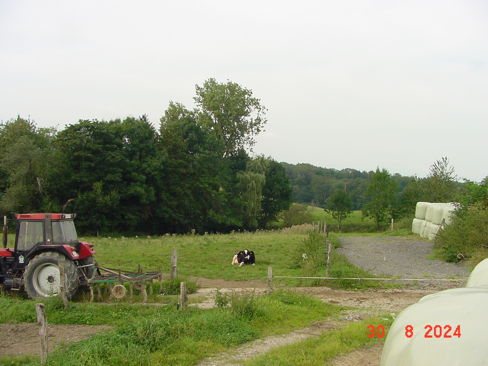 DSC00168.JPG