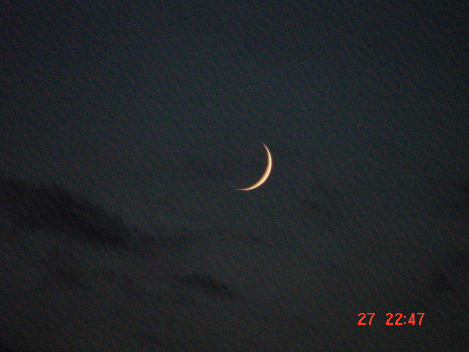DSC00017.JPG