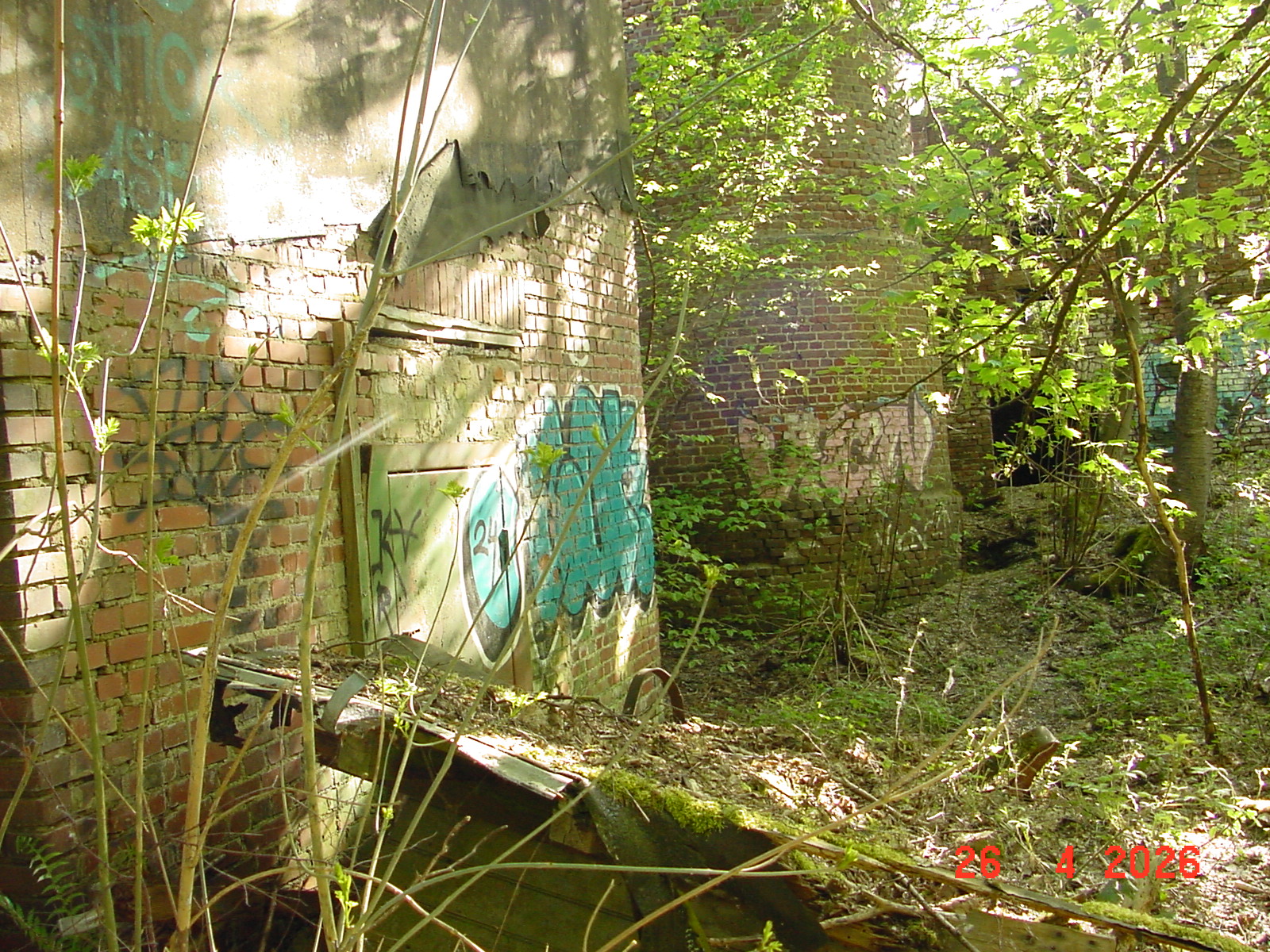 DSC00147.JPG