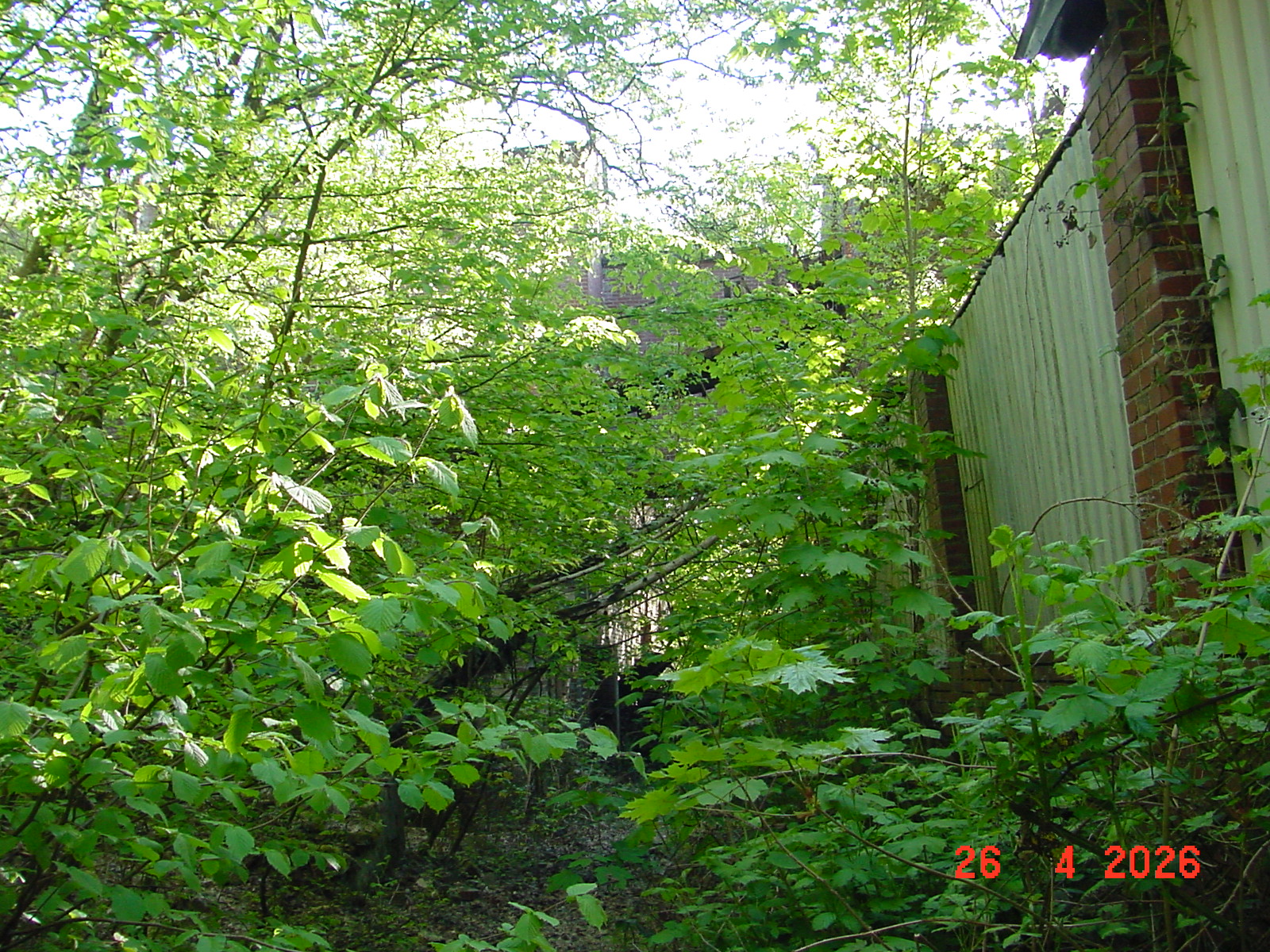 DSC00159.JPG