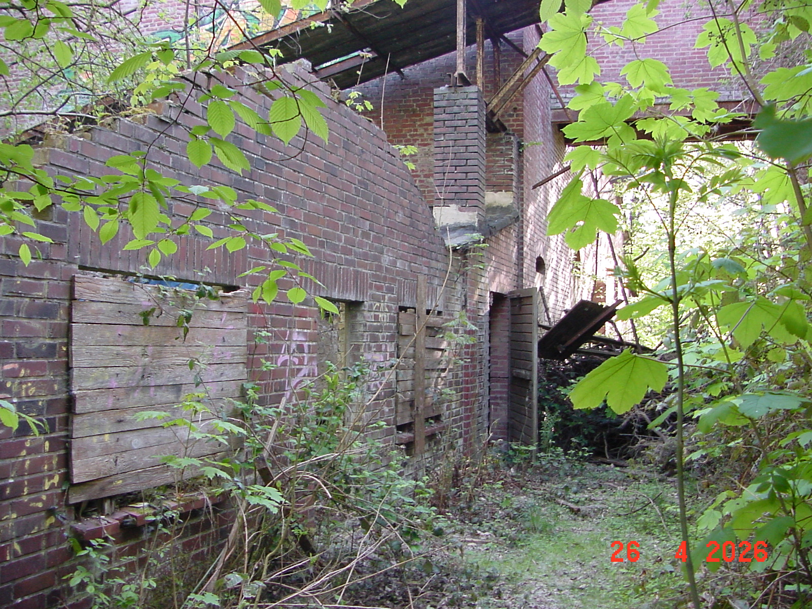 DSC00163.JPG