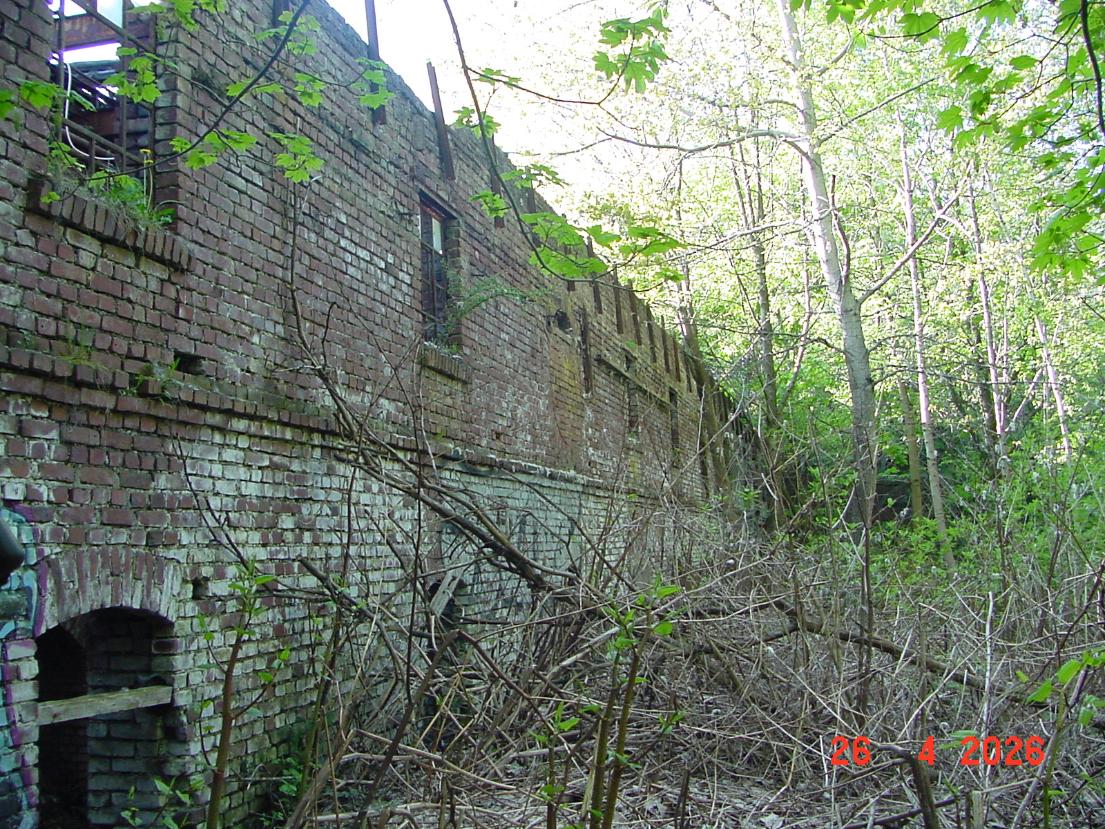 DSC00170.JPG
