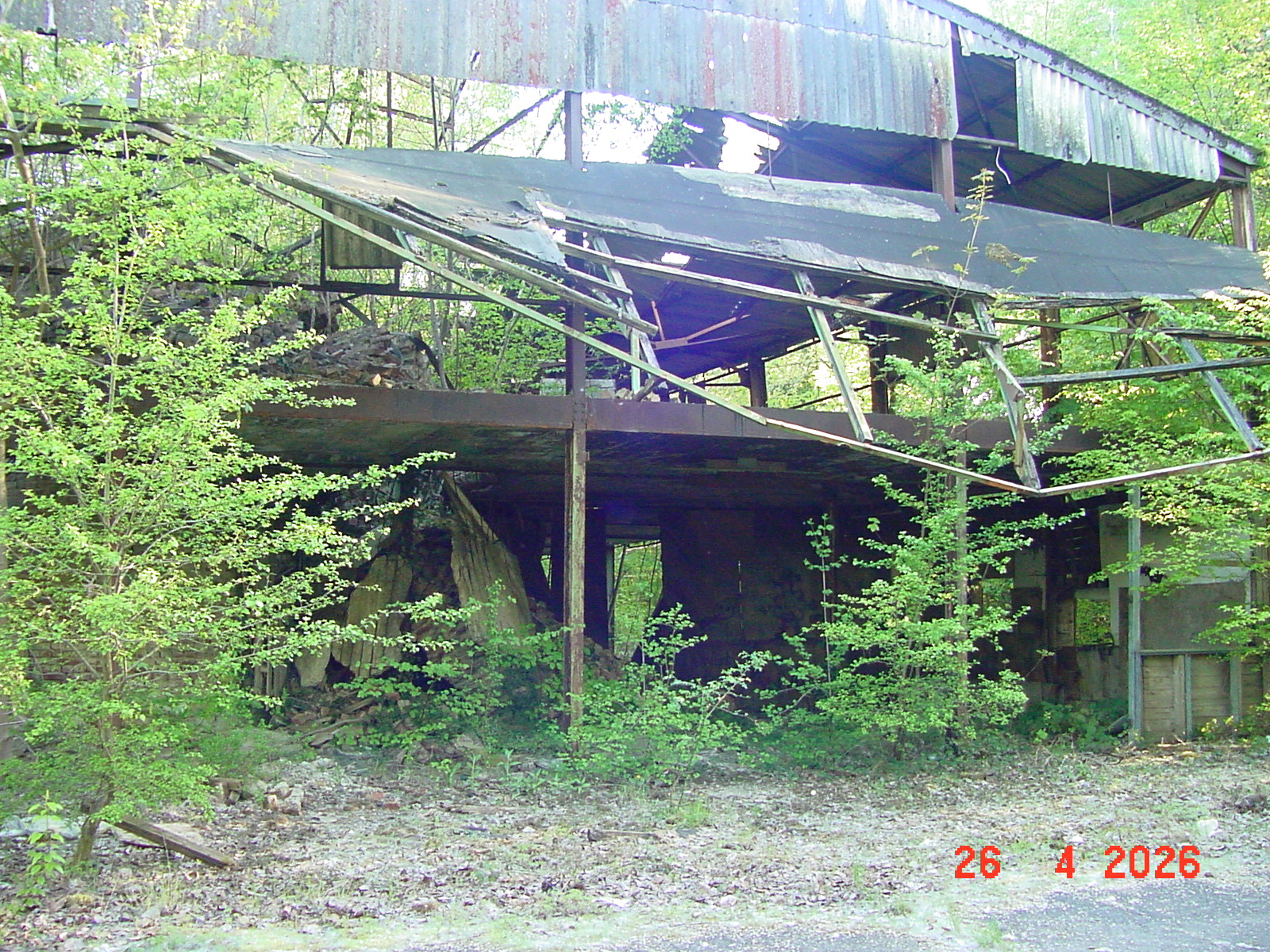 DSC00205.JPG