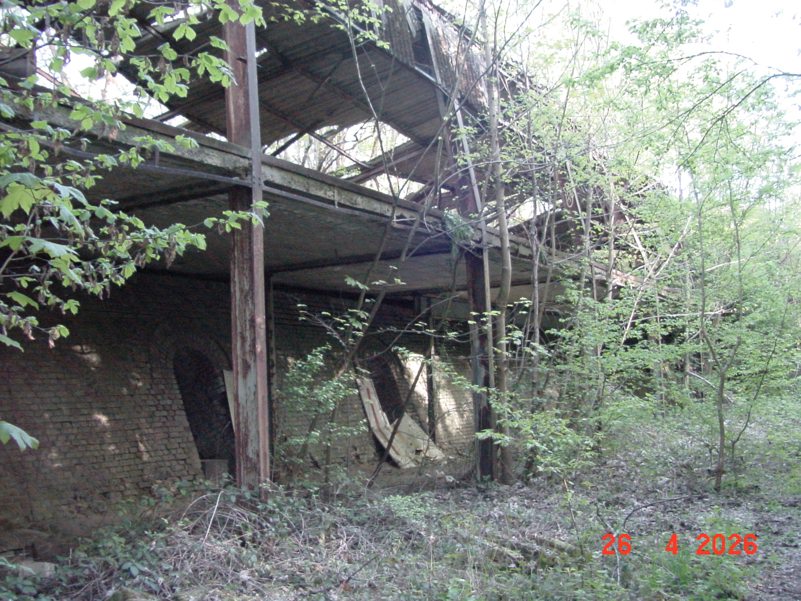 DSC00206.JPG