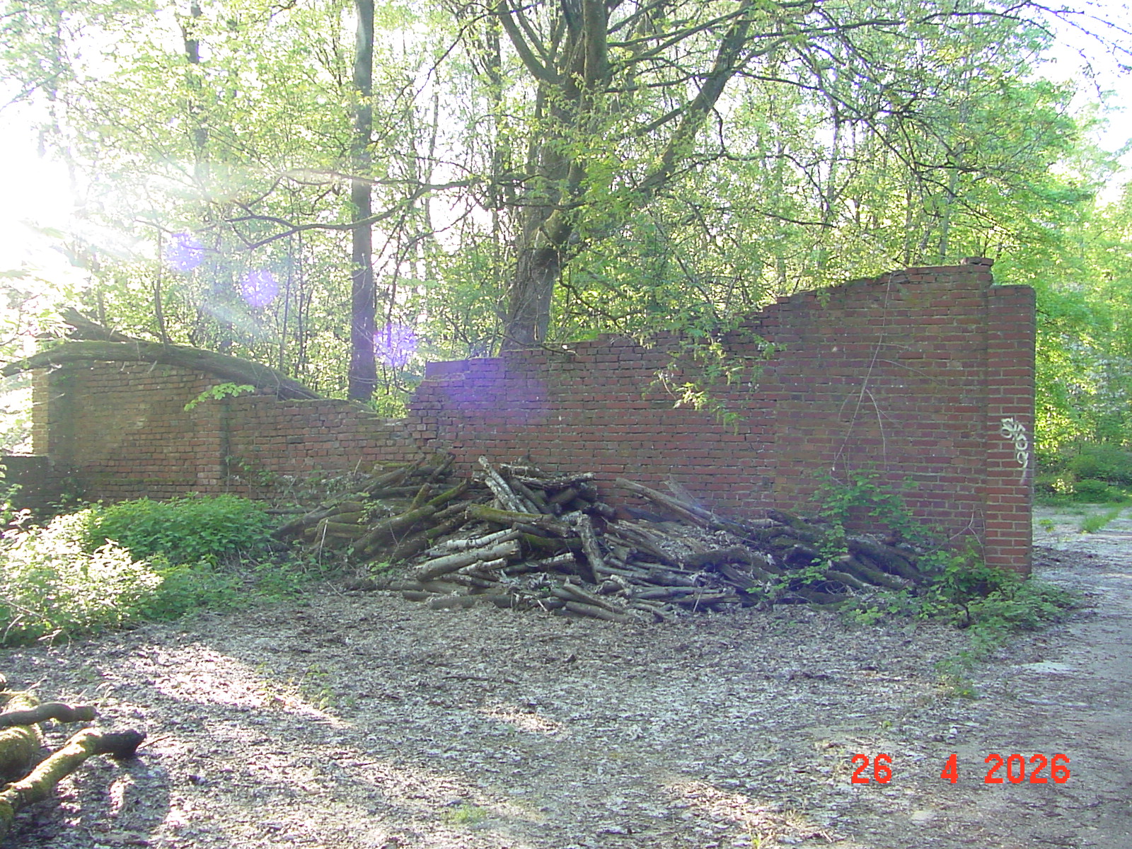 DSC00225.JPG