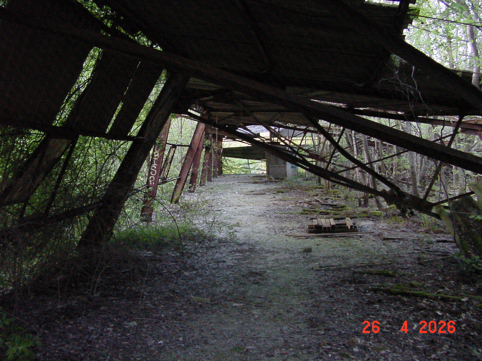 DSC00245.JPG