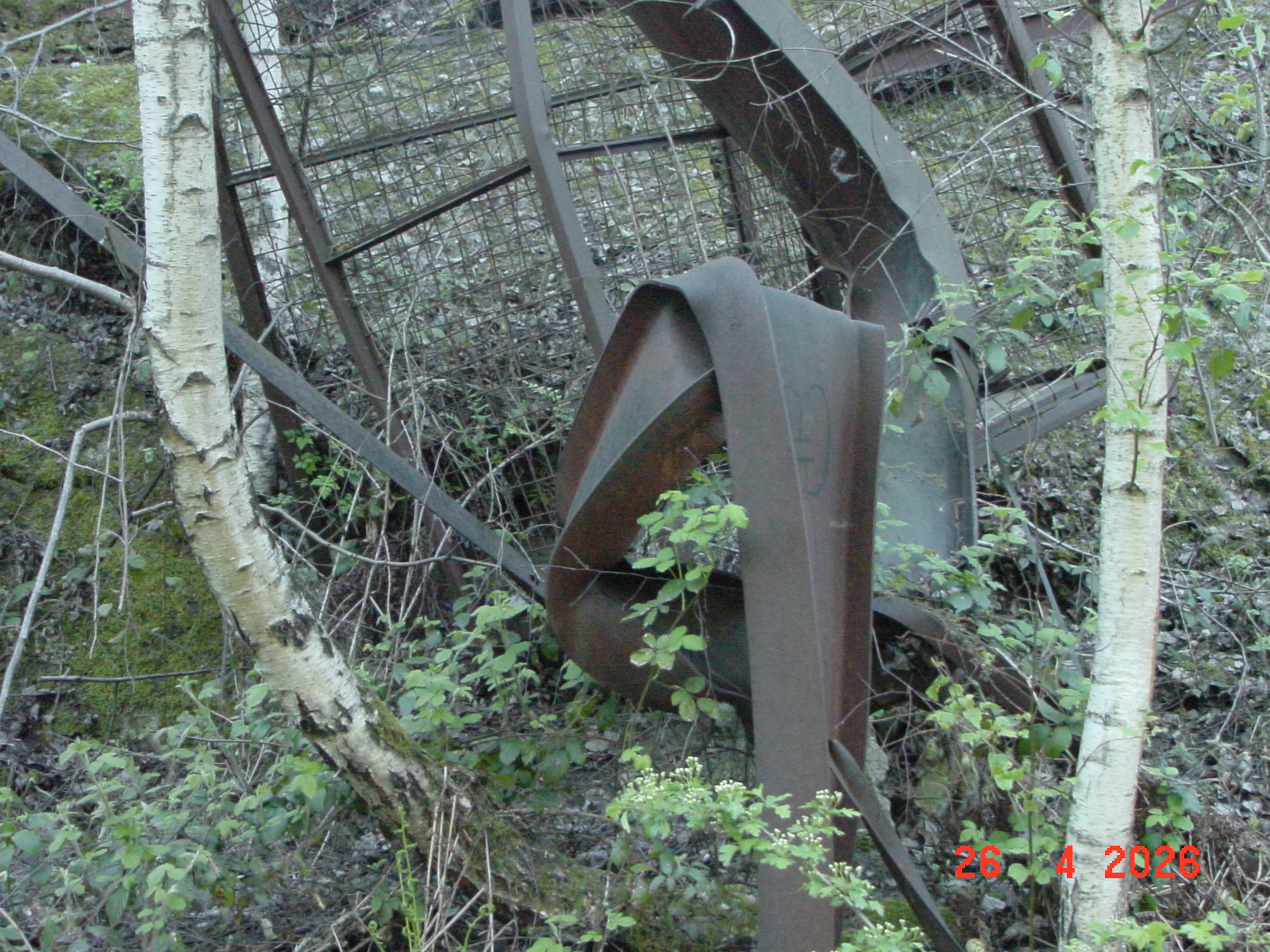 DSC00252.JPG