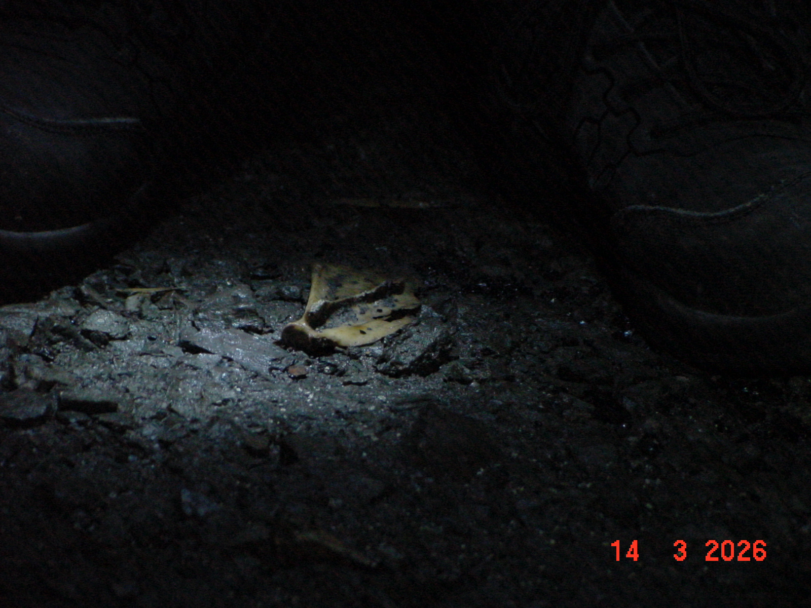DSC00100.JPG