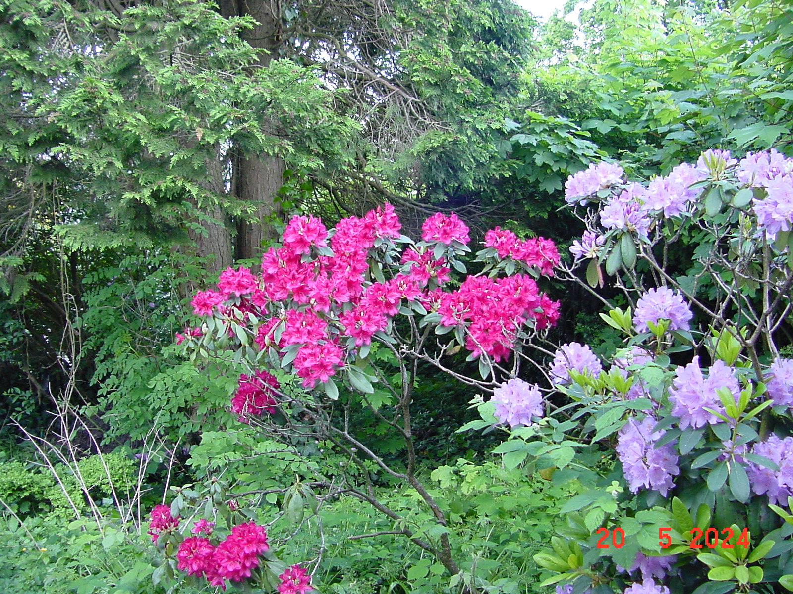 DSC00049.JPG