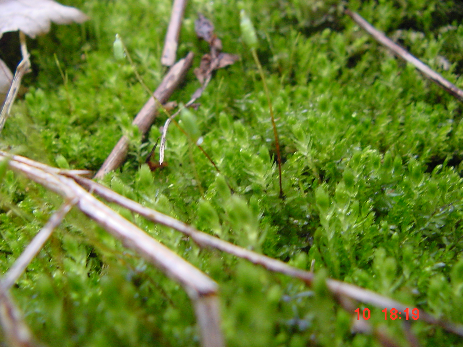 DSC00056.JPG