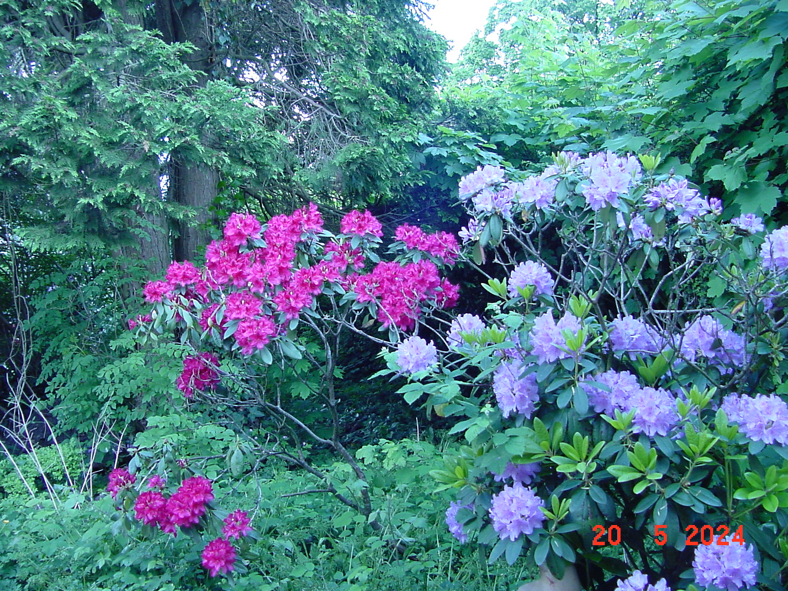 DSC00057.JPG