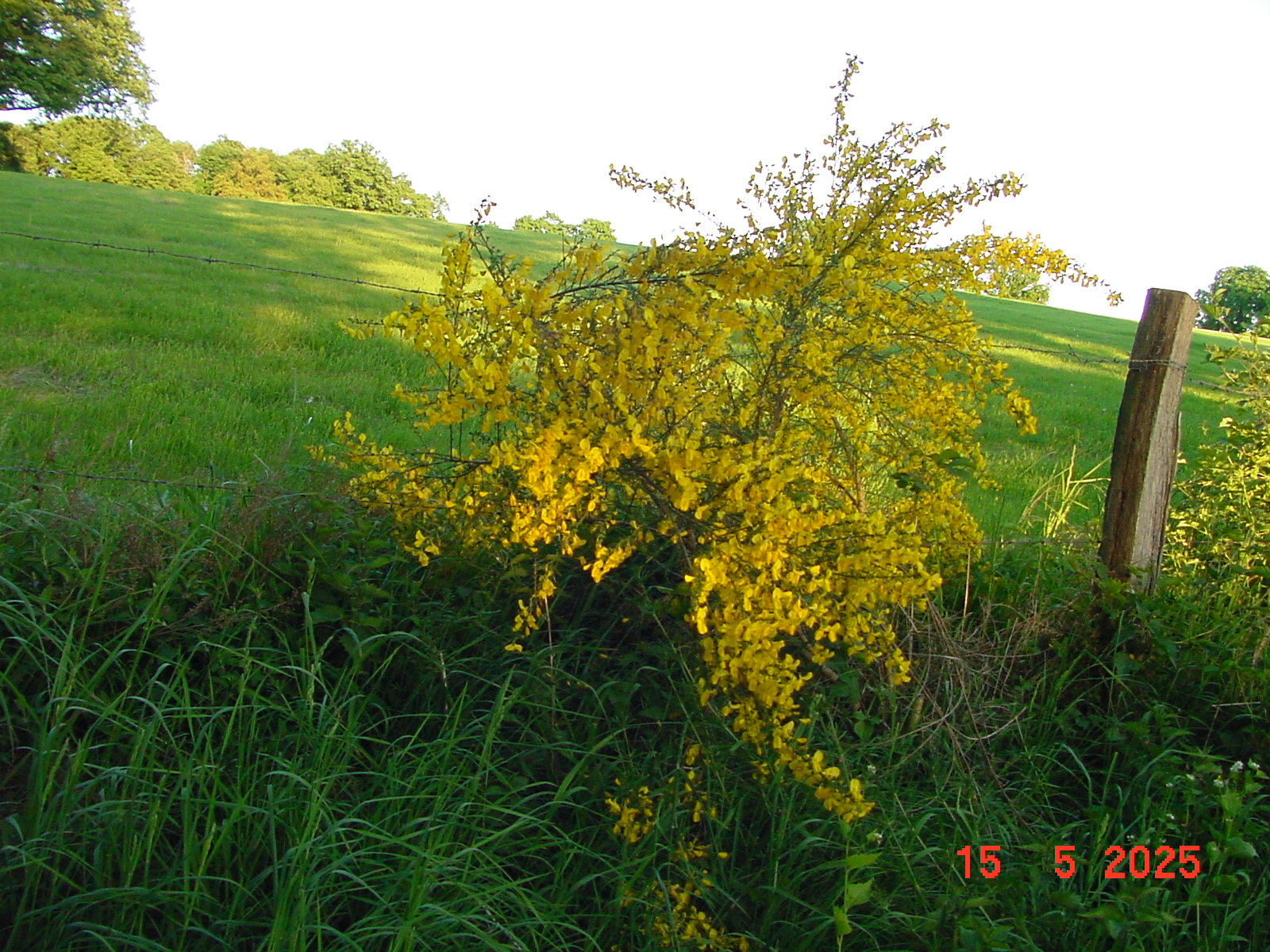 DSC00234.JPG
