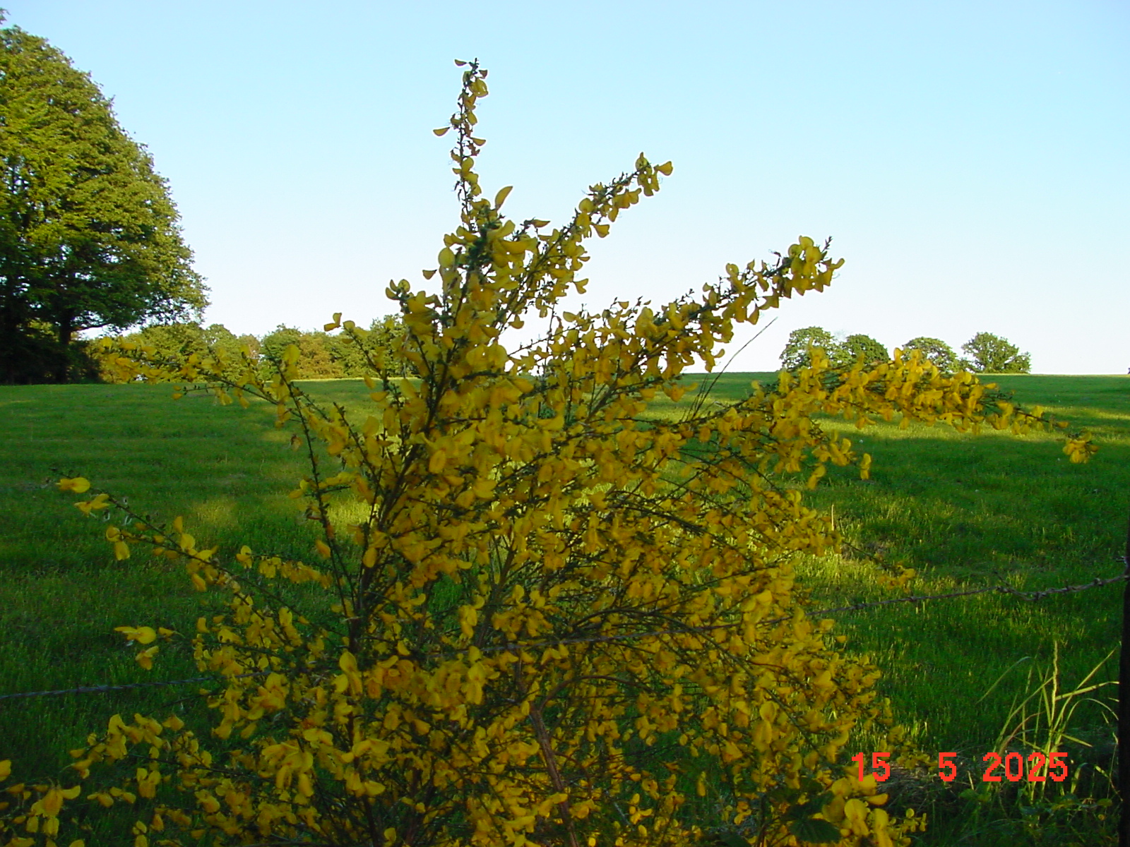 DSC00236.JPG