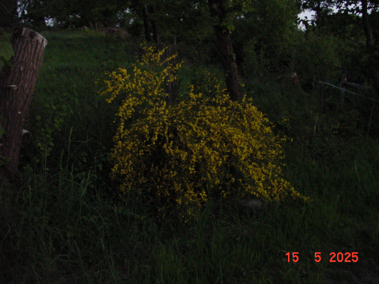 DSC00272.JPG