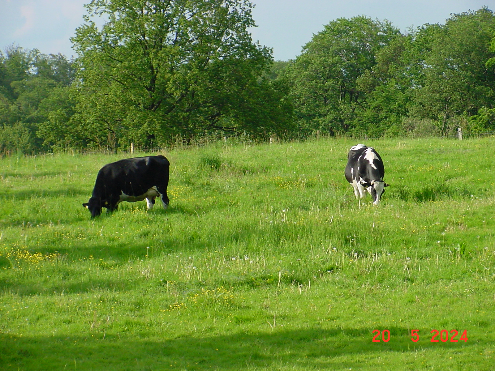 DSC00060.JPG