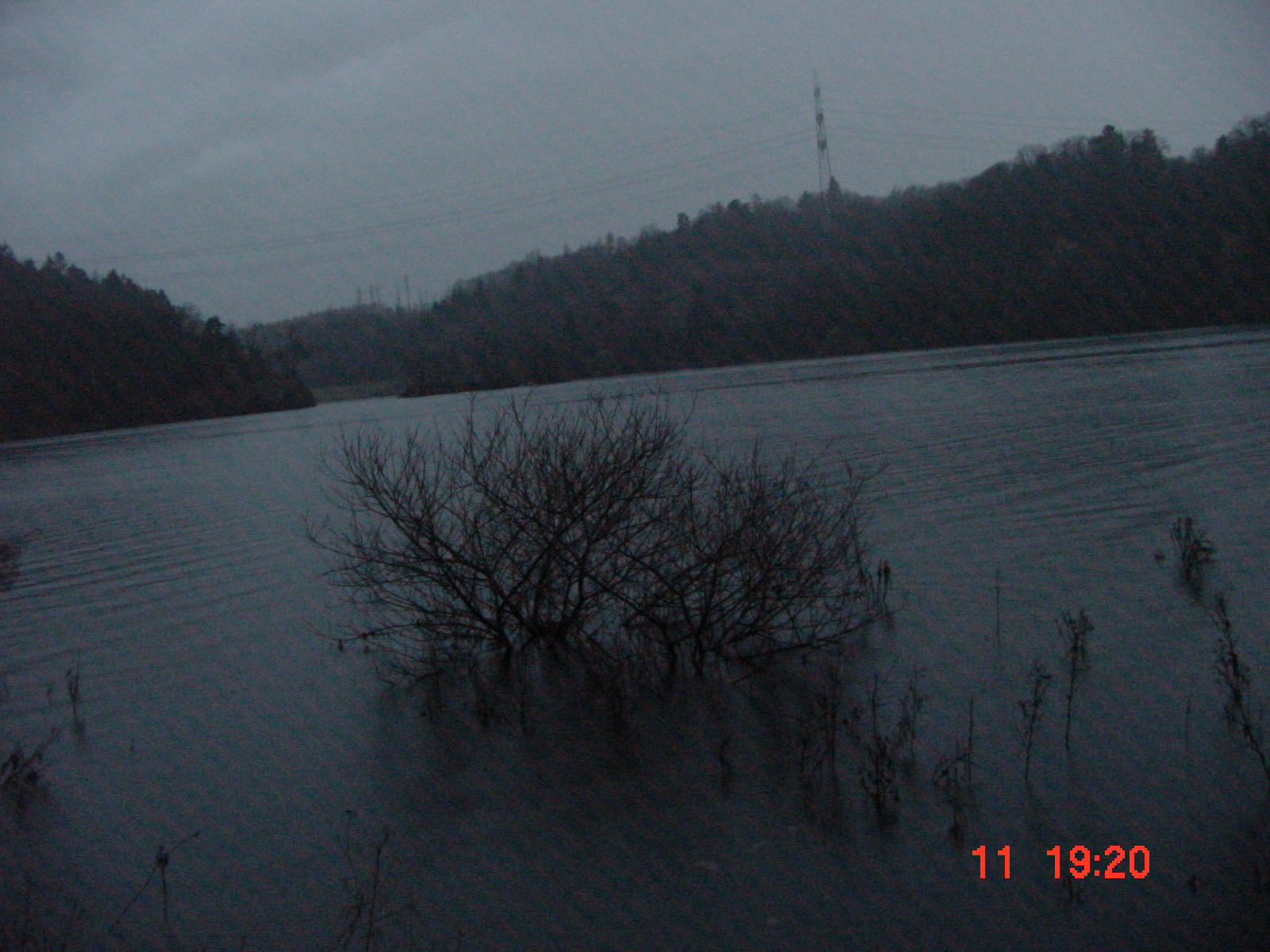 DSC00074.JPG