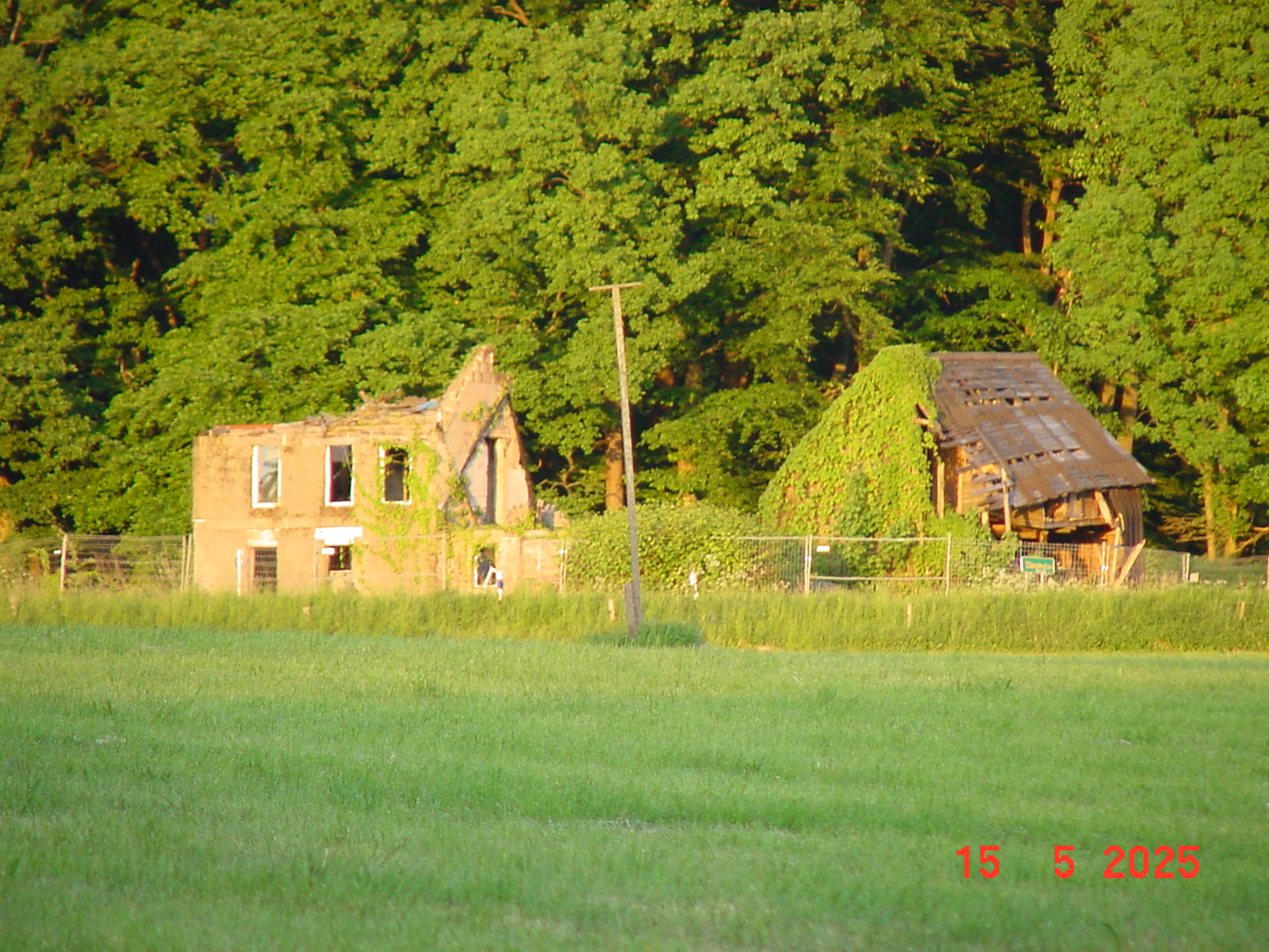 DSC00240.JPG