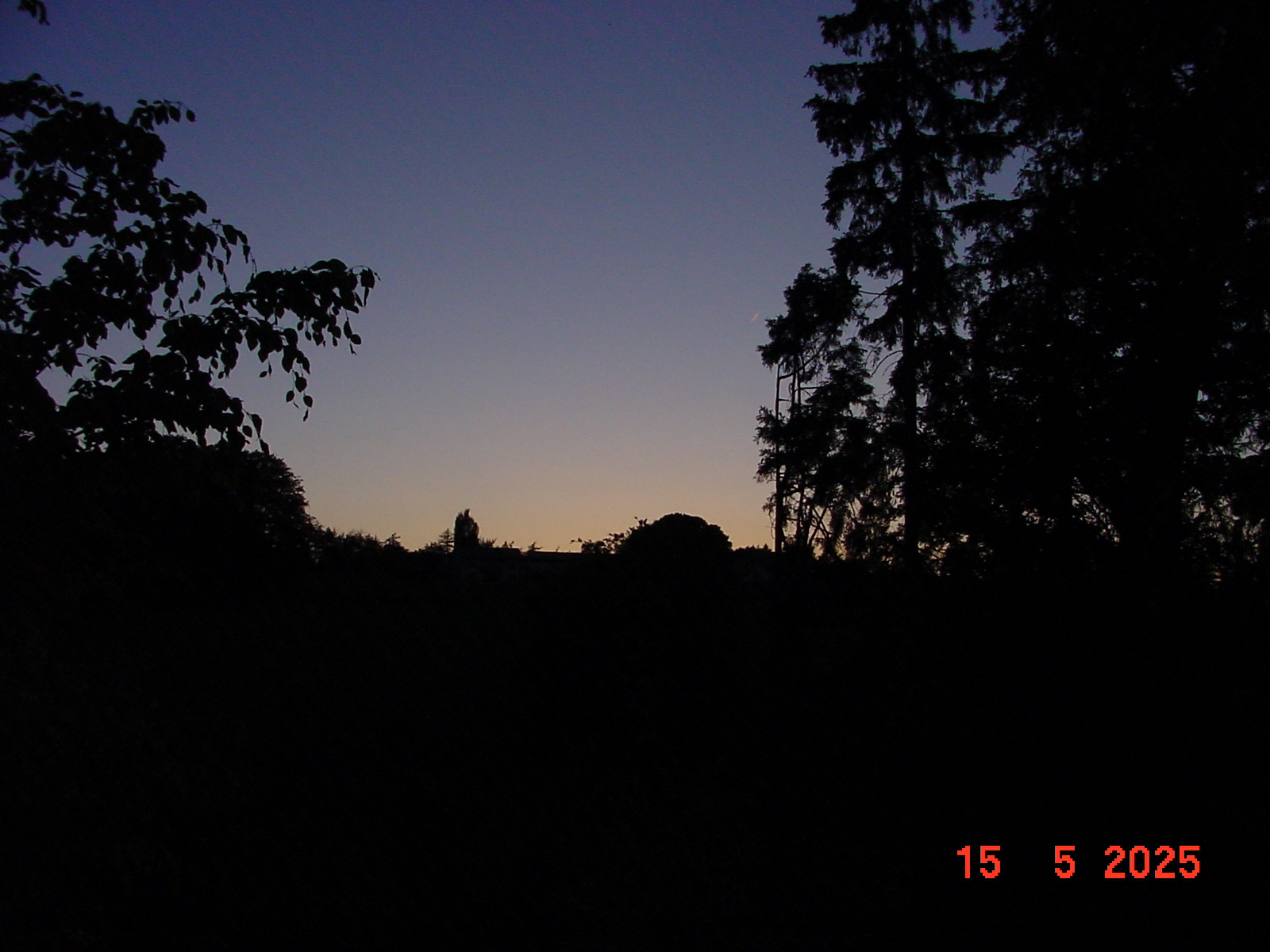 DSC00264.JPG