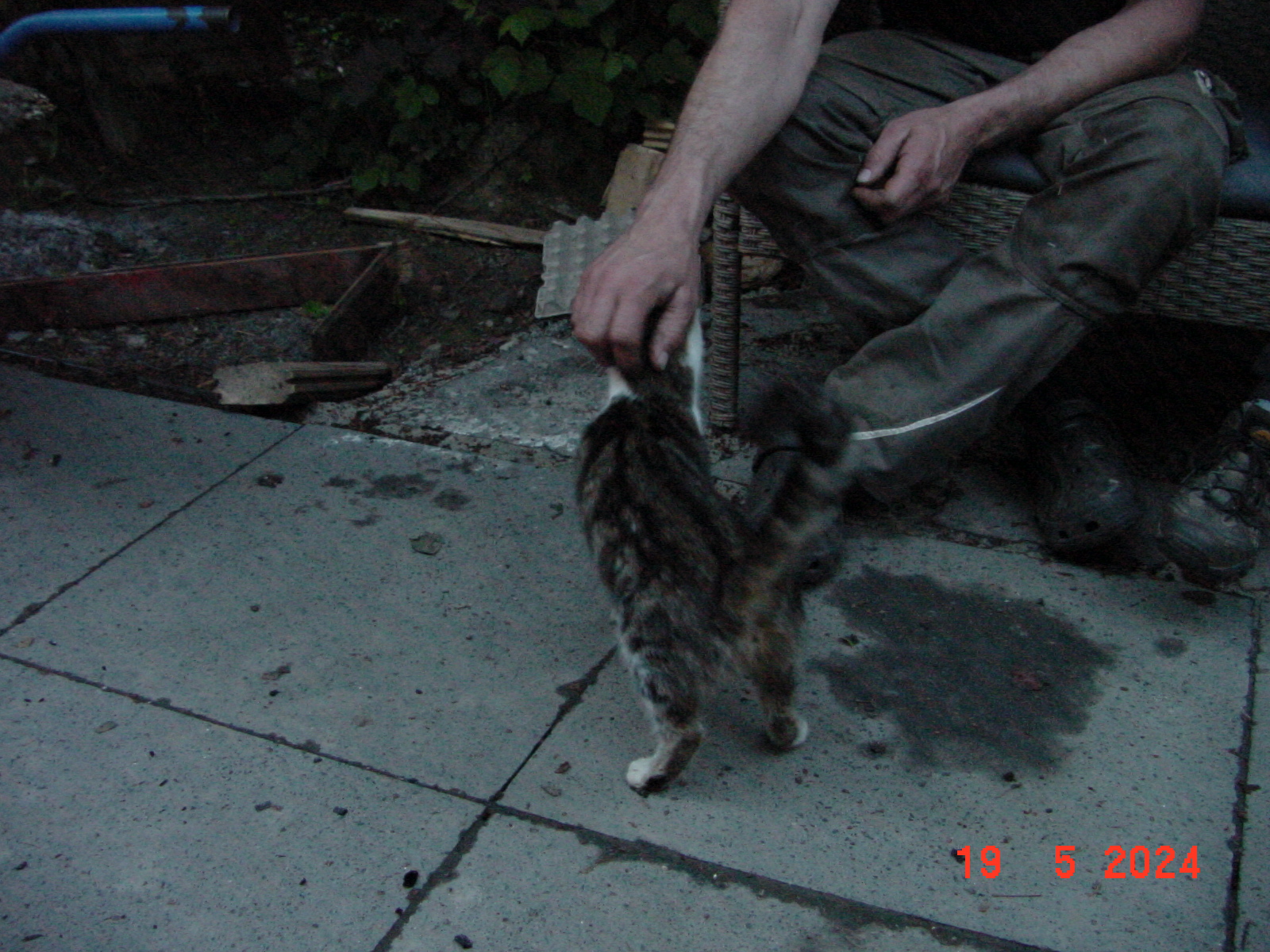 DSC00013.JPG