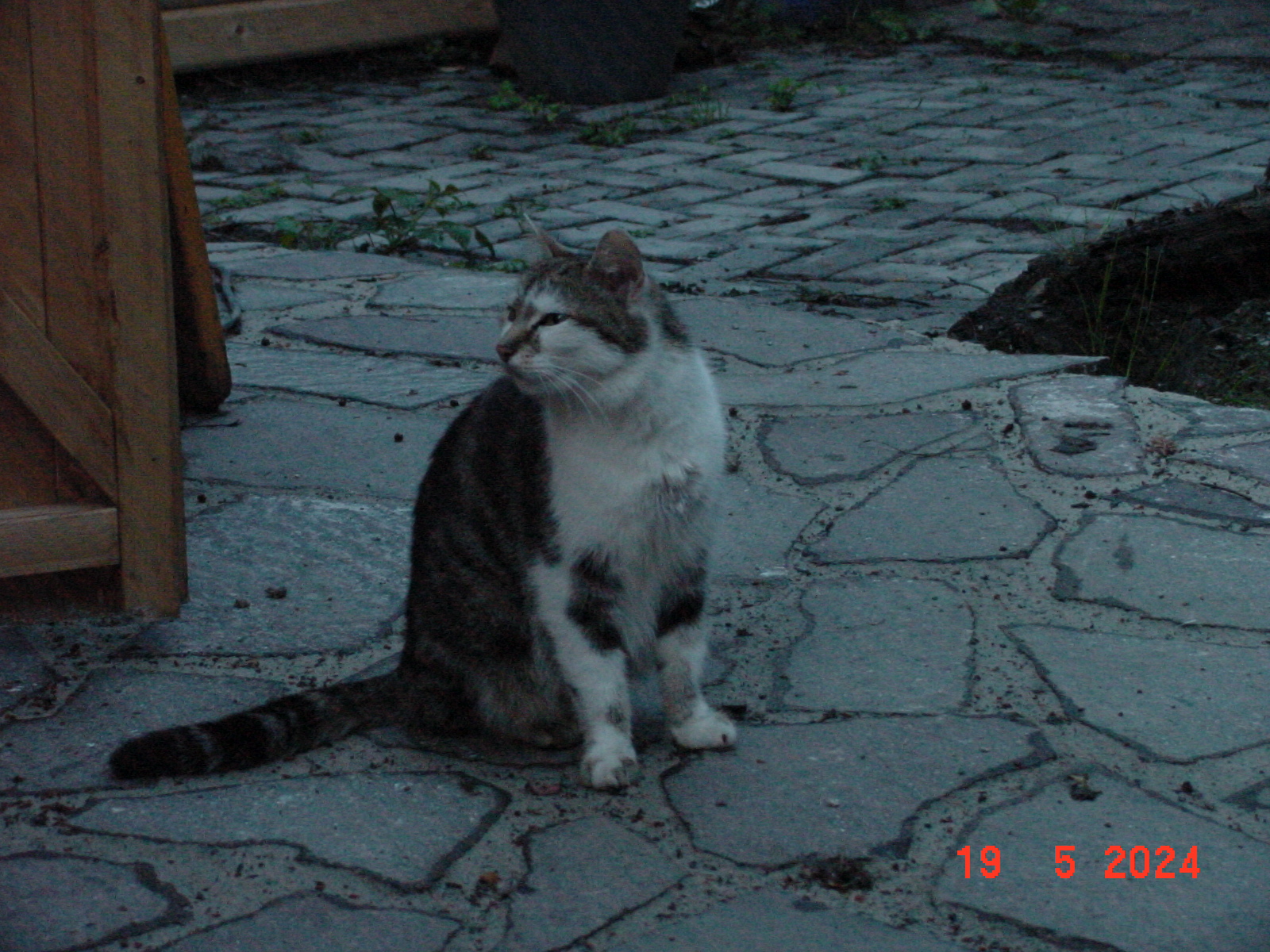 DSC00022.JPG