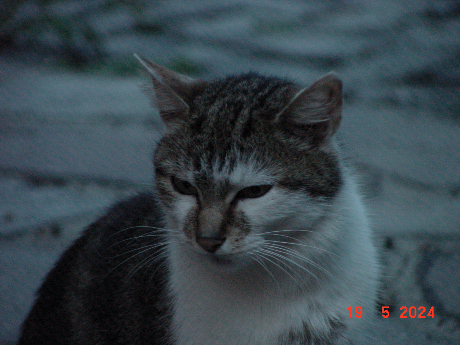 DSC00023.JPG
