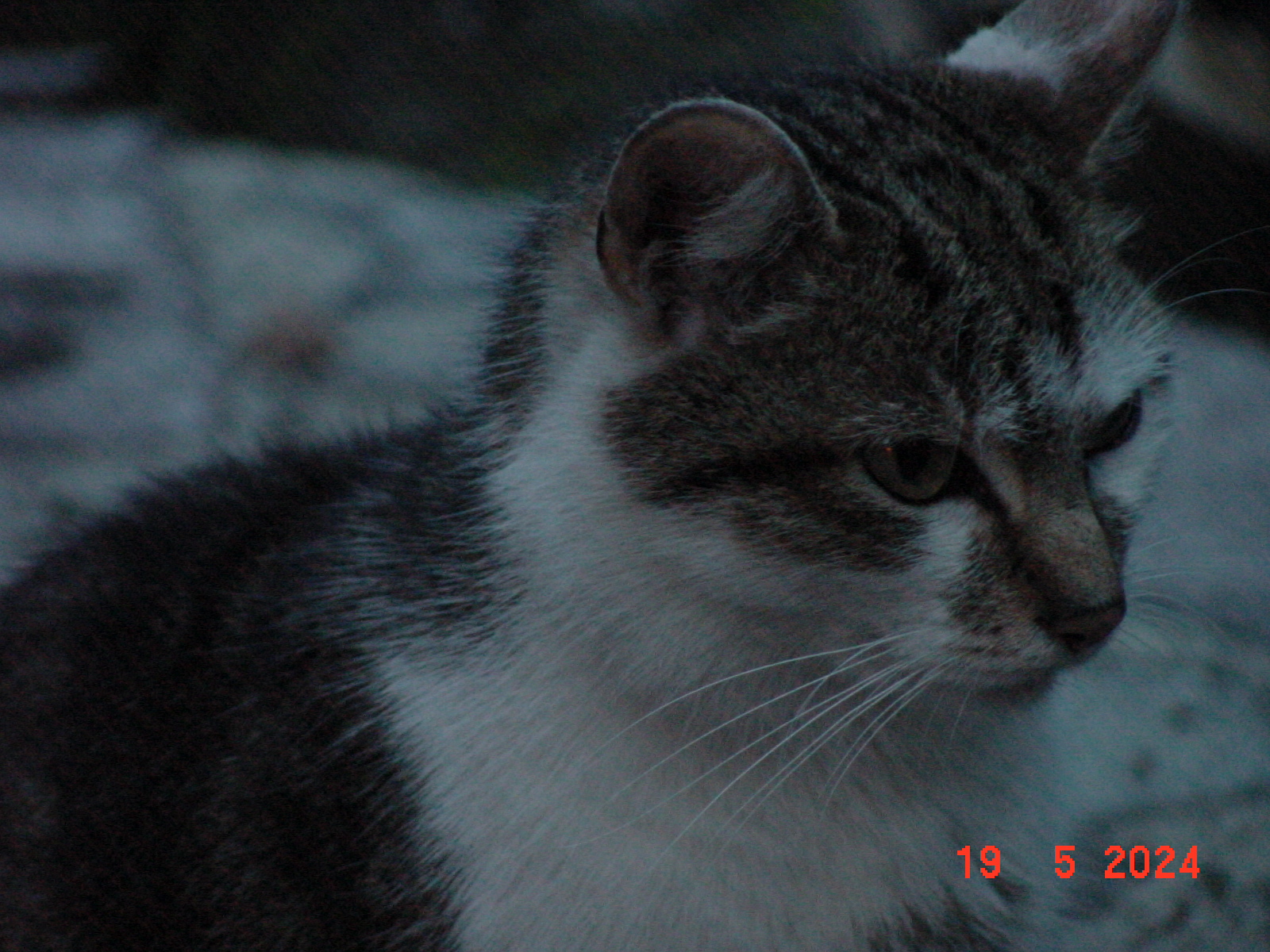 DSC00026.JPG