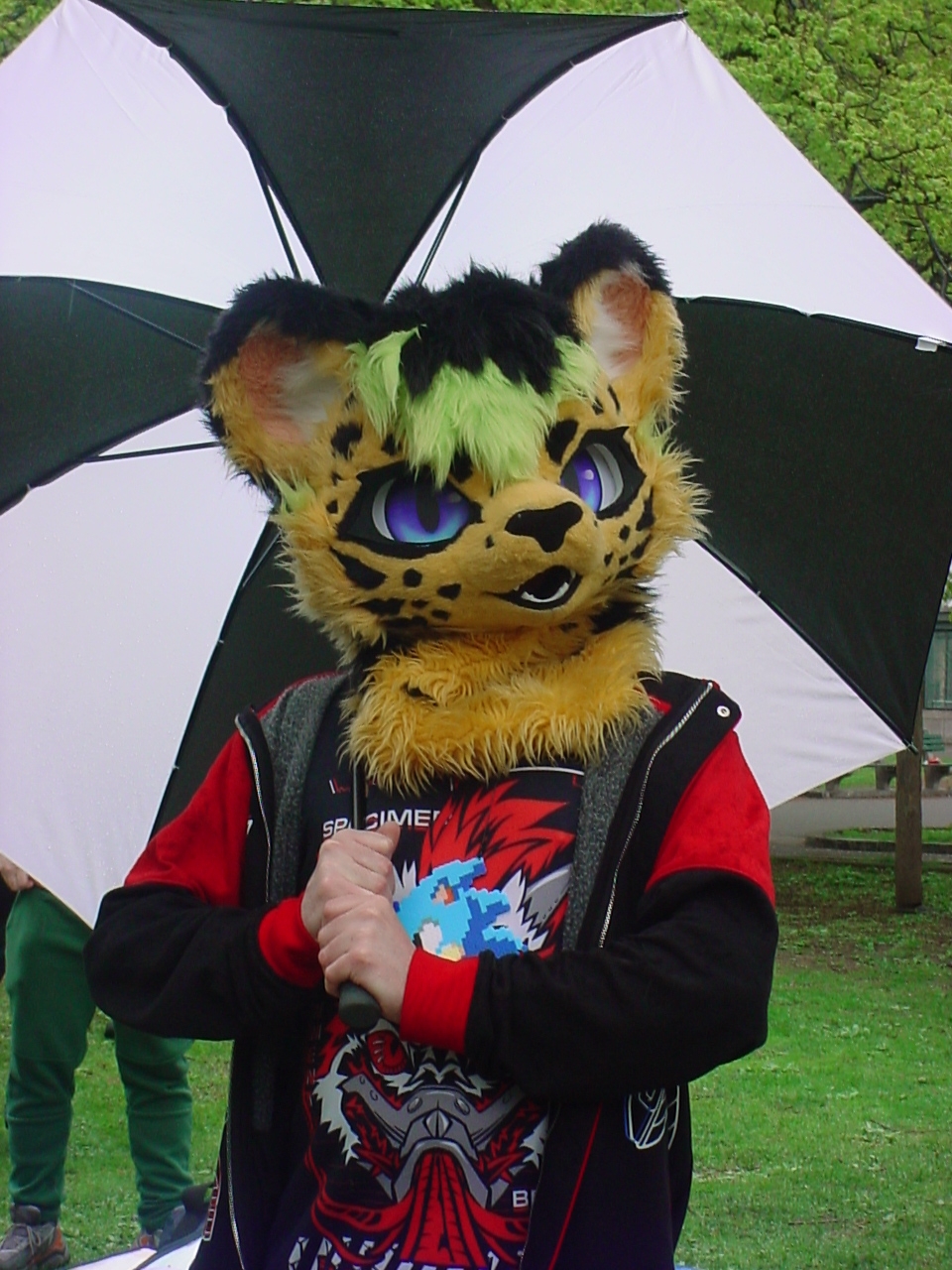 DSC00014.JPG