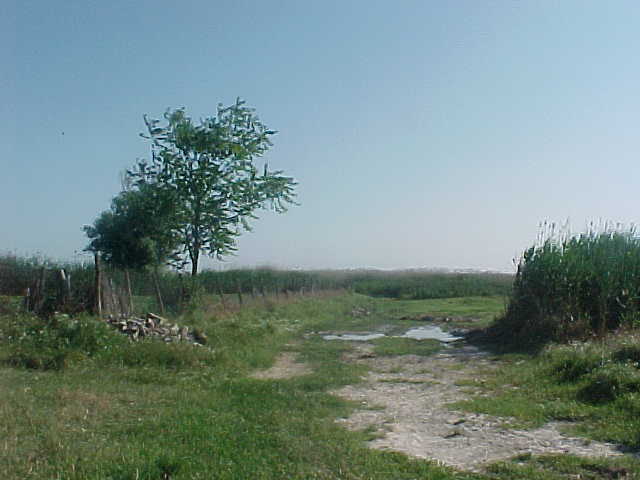MVC-005S_1780670518983.JPG