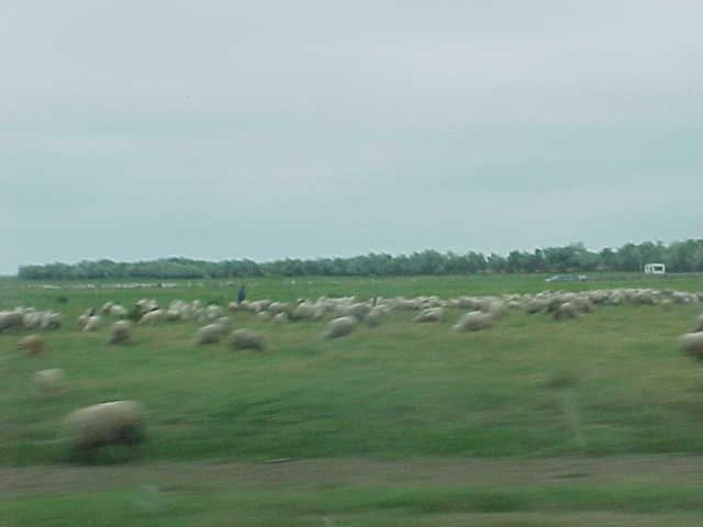 MVC-009S.JPG