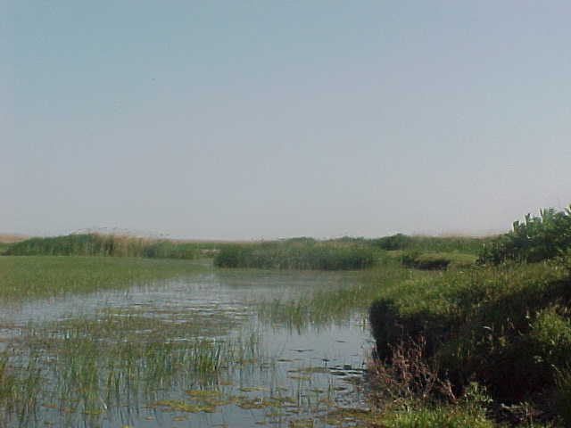 MVC-009S_1780670518984.JPG