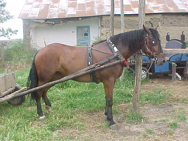 MVC-016S.JPG