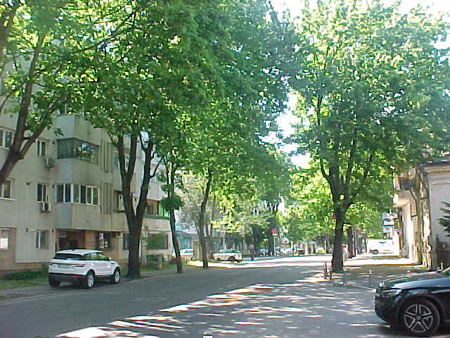 MVC-004S_1779203022576.JPG